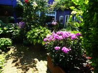 Garten2024-07-21