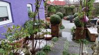 Garten2024-11-20 (1)