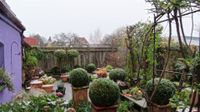 Garten2024-11-20 (2)